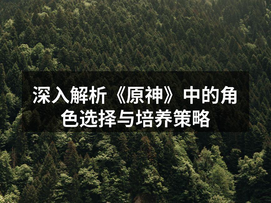 原神角色选择示意图